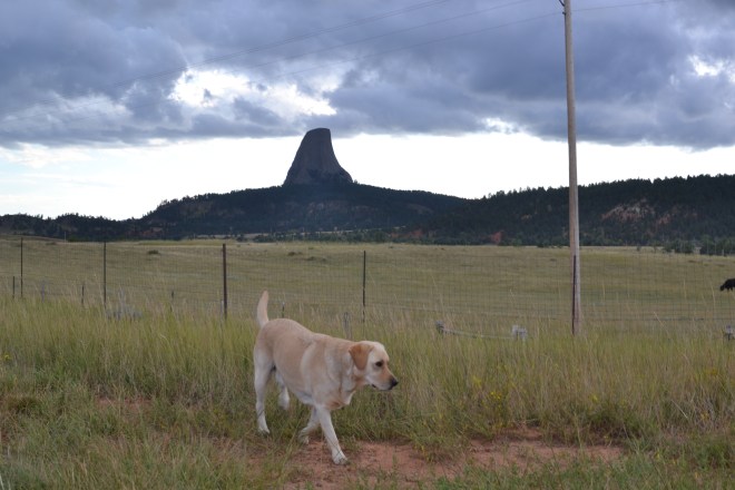 Devilstower